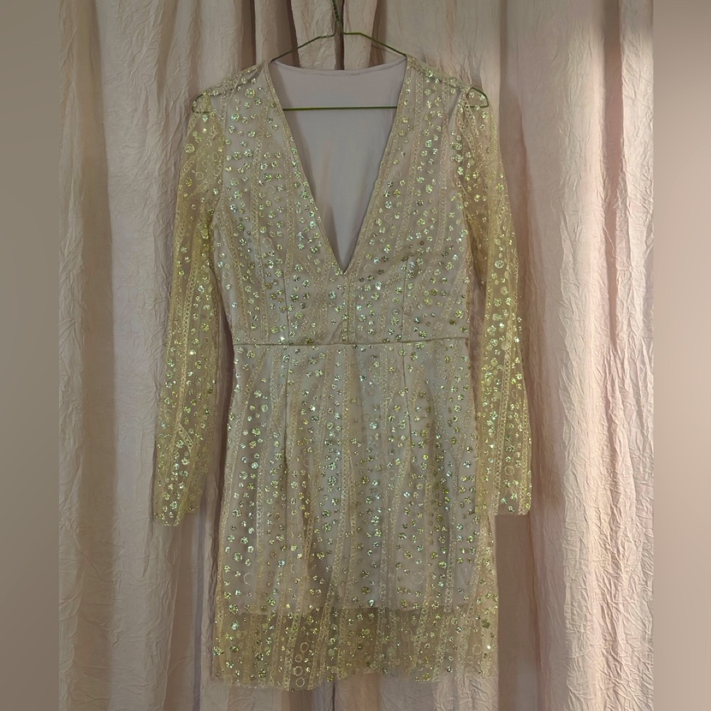 Rose Sequin V Neck Mini Dress